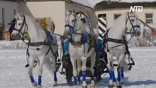 Во Владимирской области прошёл фестиваль русской тройки