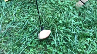 Bushcraft: deer fencing for new tree