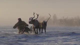 Нижняя Колыма. Родовая община "Турваургин"