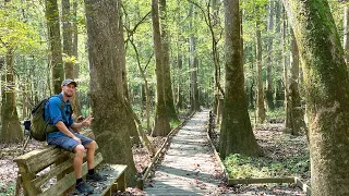 Exploring the Majestic Forest of Congaree National Park, South Carolina