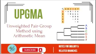 UPGMA method