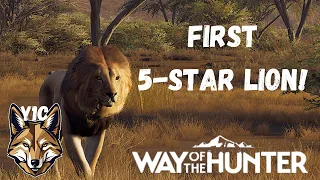 Lion Hunt and a SURPRISE! | Way of the Hunter