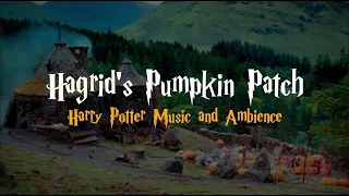 Harry Potter | Chill Music and Ambience | Hagrid's Pumpkin Patch