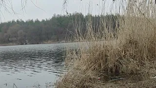 Харьков. Салтовка/01.04.22  Обзор цен прод. рынка.