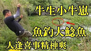 长满水葫芦的野河真藏货，阿琪下竿就秒上钩，一条接一条超过瘾【农村阿琪】