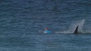 Surfista australiano escapa de ataque de tubarão