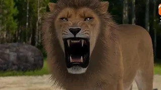 Tiger vs Lion - Animated Fight AFO