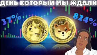 СРОЧНО! SHIBA INU ОБГОНЯЕТ DOGE! SHIBA INU ОПЕРЕЖАЕТ AVALANCHE! РОСТ SHIBA INU НА 37%!