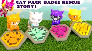 The Cat Pack get help from Mighty Pup Skye rescuing their Badges