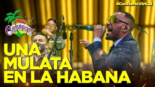 Una Mulata En La Habana - Hey Hey Camagüey Tributo a Adalberto Álvarez #ConciertoVirtual