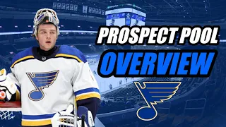 Prospect Pool Overview: St  Louis Blues