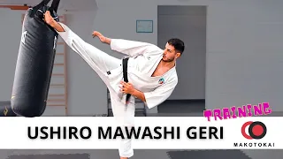 USHIRO MAWASHI GERI - allenamento CALCI GIRATI