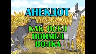 Анекдот про волка и осла. Новый анекдот...