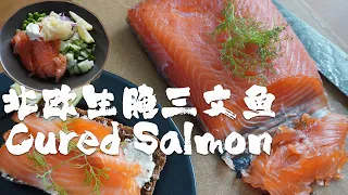 [ENG SUB]  Making Cured Salmon at Home /Gravlax/ Cured Salmon Poke Bowl/北欧生腌三文鱼/三文鱼海鲜POKE饭/北欧开放三明治