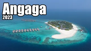 Angaga Island Resort Tour + gigantische Unterwasserwelt und Walhaie / Malediven Süd Ari Atoll