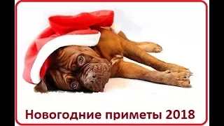 Приметы на Новый год 2018. Как правильно встречать год Собаки