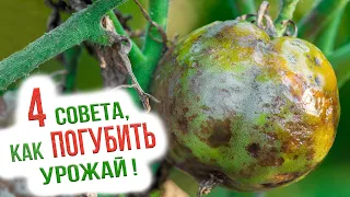 Вредные советы садоводам и огородникам. Как не остаться без урожая?