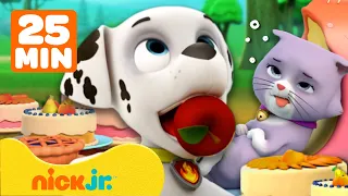 Patrulha Canina | Resgates dos Alimentos Mais Doces da Patrulha Canina! Chase & Marshall | Nick Jr.