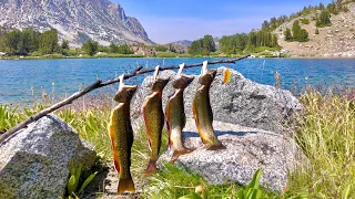 Wild Brook Trout CATCH AND COOK In High Elevation Mountain Lakes! | Fishing The Eastern Sierras