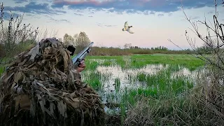 DUCK HUNTING. I only shoot males.