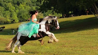 Beautiful Song Meditation with horses in nature on the beach. Relaxing Join us