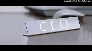 CEO Career Secrets Audiobook