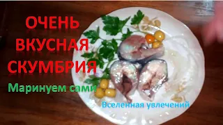 МАРИНОВАННАЯ СКУМБРИЯ ЗА 3 ЧАСА Vselennaya uvlecheniy