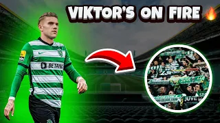 CÂNTICO GYÖKERES - VIKTOR'S ON FIRE 🔥 | SPORTING CP 🟢⚪