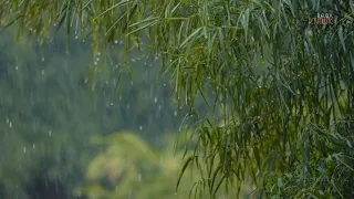 Nhạc thư giãn đầu óc | Rain sounds for sleeping, relaxing rain, music rain, Relaxing rain sounds #23