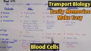 Blood Cells And Their It Types | RBC | WBC | Class 11 Biology