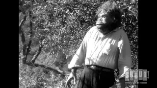 Neanderthal Man Crashes Picnic - The Neanderthal Man (1953)