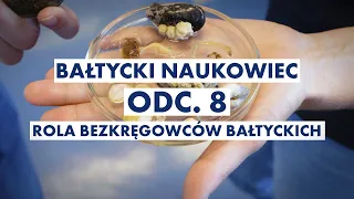 ROLA BEZKRĘGOWCÓW BAŁTYCKICH || Bałtycki Naukowiec, odc. 8