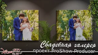 Свадебная галерея | Проект Proshow Producer