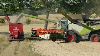 Ernte 2022 / Roggen / 3xClaas Lexion NEUE Generation / RAW SOUND FIELDRECORDING / Part 2/3