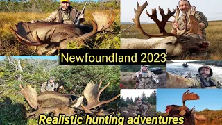 Moose and B&C Woodland caribou hunt in Newfoundland, With Realistic Hunting Adventures.