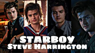 Starboy Steve Harrington 😎 #strangerthings #shorts