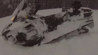 Ski Doo Expedition LE 2016 900 Ace in the snow