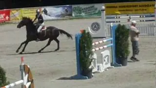 Viona CSI** Wr.Neustadt 2011 6th place