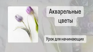 Урок Акварели для начинающих. Тюльпан