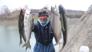 SALMON FISHING from SHORE on a HUGE CLIFF (Bobbers and Jigs)