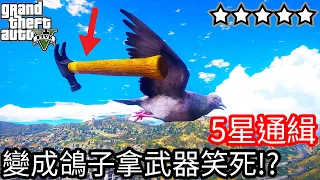 【Kim阿金】五星通緝 變成鴿子拿武器笑死!?《GTA 5 Mods》