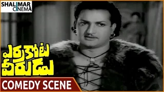 Errakota Veerudu Movie || NTR Hilarious Comedy Scene || NTR, Rajanala, Savitri || Shalimarcinema