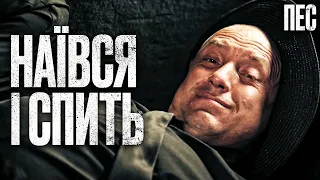 🎬 ЛУЧШИЙ ОТДЫХ! Смешной ДЕТЕКТИВ 2024 - Сериал ПЕС 2024 - Лучшие серии