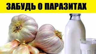 Залей Чеснок Молоком и Пей Натощак у Себя Дома. Через 7 Дней Глисты и Паразиты Вылетят...