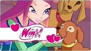 Winx Club - Serie 4 Episodio 3 - L'ultima fata della terra (clip3)