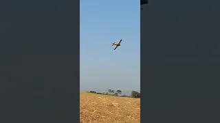 air tractor radial pulverizando laranja da cultrale