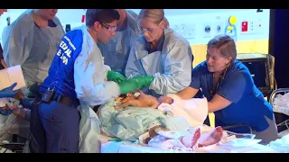 Resuscitative Hysterotomy/ Perimortem Caesarean section by the SMACCForce Simulation Team
