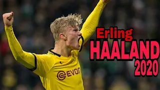 Erling Haaland - All Goals in 2020