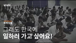 뉴스타파 목격자들 - 그래도 한국에 일하러 가고 싶어요!
