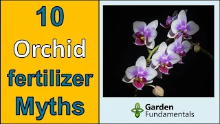 10 Orchid Fertilizer Myths ⏰🧿️🧙 What Recent Science Says
